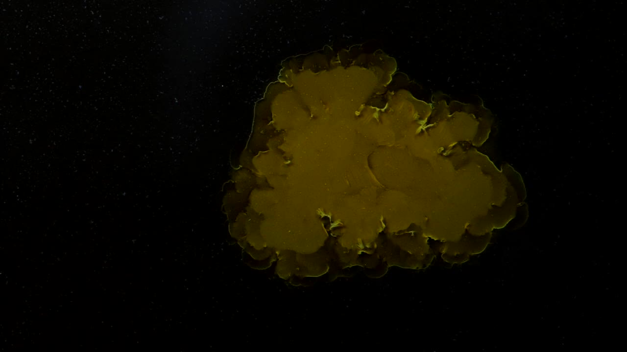 quizás te preguntes cómo hice este video.