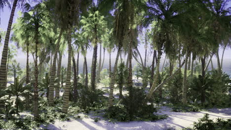 lush tropical landscape by the ocean with palm trees and sandy beach