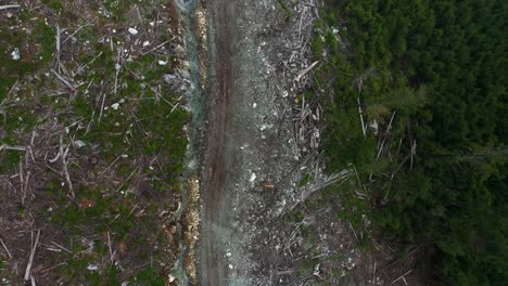 Logging-trail-where-loggers-have-been-working---a-top-down-view