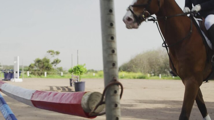 Uomo afroamericano che salta un ostacolo con il suo cavallo da dressage