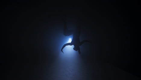 aerial acrobatics performance