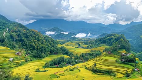 a view of a green field with mountains in the background