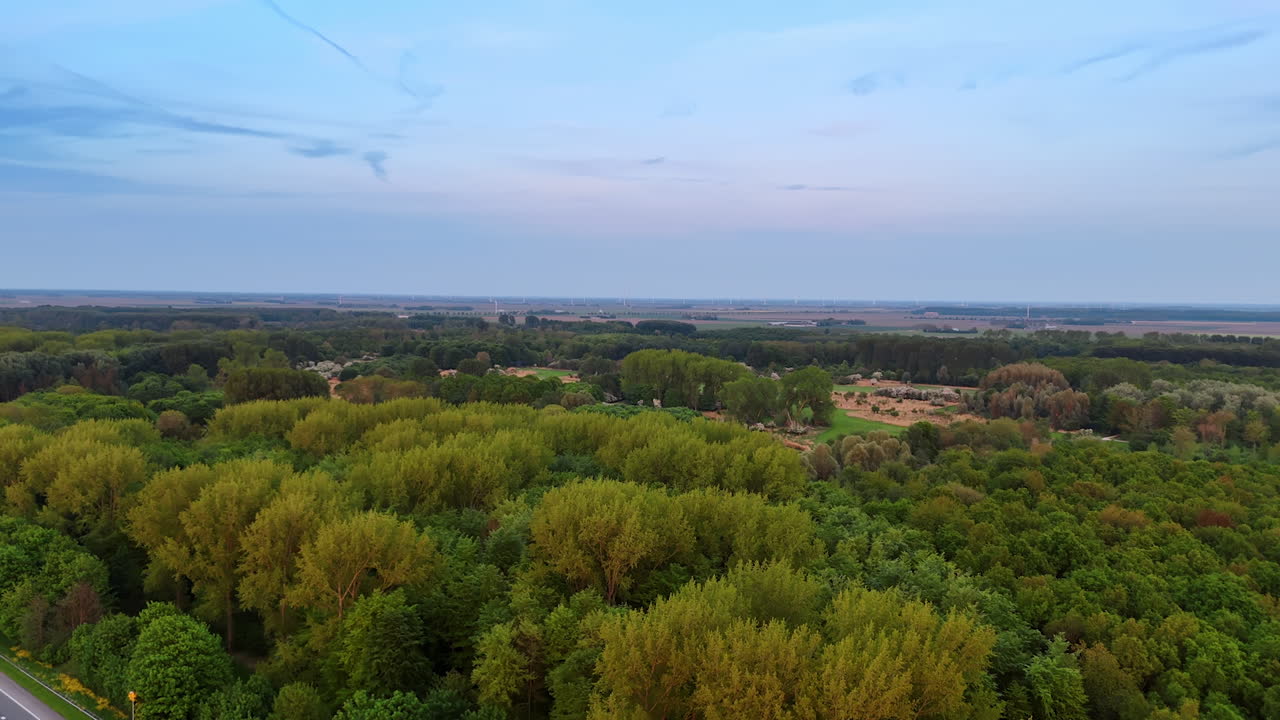Lush landscape in Netherlands. A serene view of dense greenery near the road in the Netherlands, showcasing nature's beauty during twilight hours