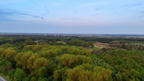 lush landscape in netherlands. a serene view of dense greenery near the road in the netherlands, showcasing nature's beauty during twilight hours