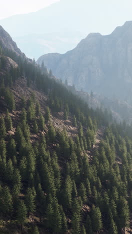 majestuosa cordillera con un bosque verde y exuberante