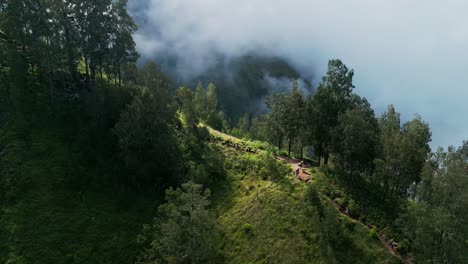 trekkers make their way up a scenic hill trail surrounded by a misty forest as they hike toward the summit through lush greenery and cool mountain air in a peaceful natural setting.
