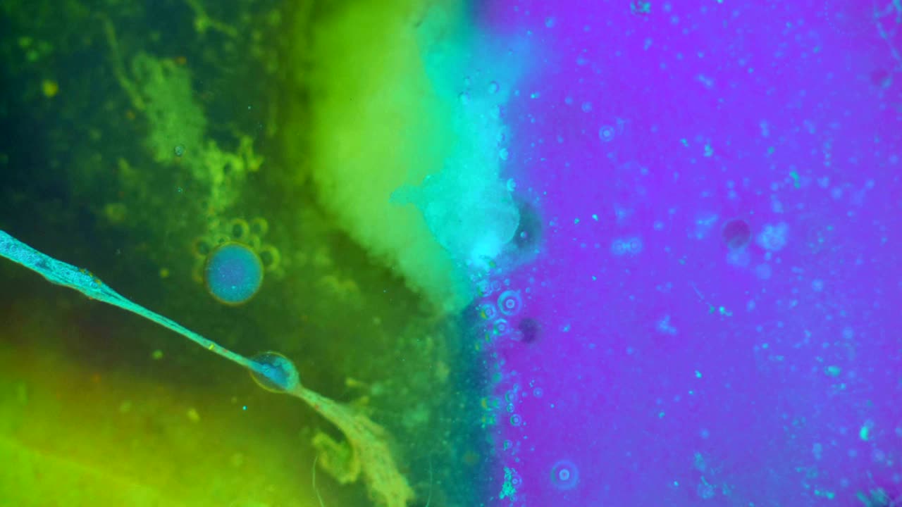 el rizado de las pinturas