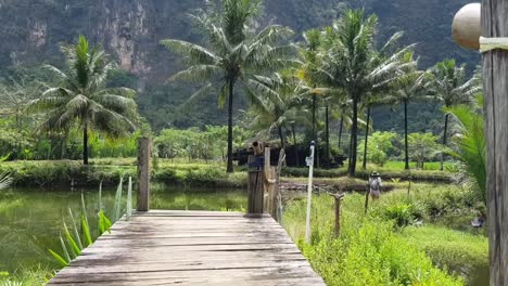 Crossing-over-a-wooden-bridge-over-small-ponds-with-a-view-of-hills-in-Rammang-Rammang,-Makassar,-Indonesia