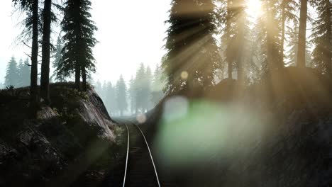 flight over railway