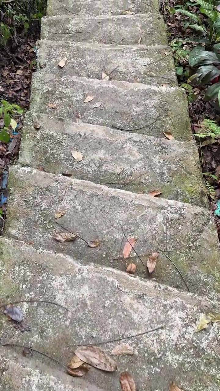 Person Walking Down Old Concrete Stairs in Nature