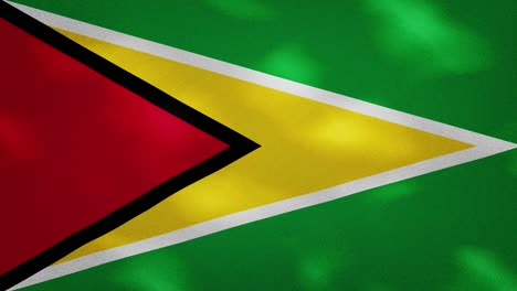 guyana dense flag fabric wavers, background loop