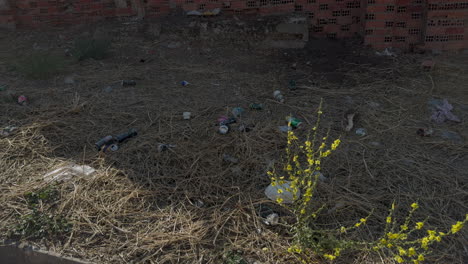 garbage thrown in nature, remains of cans, bags, plates, plastics..