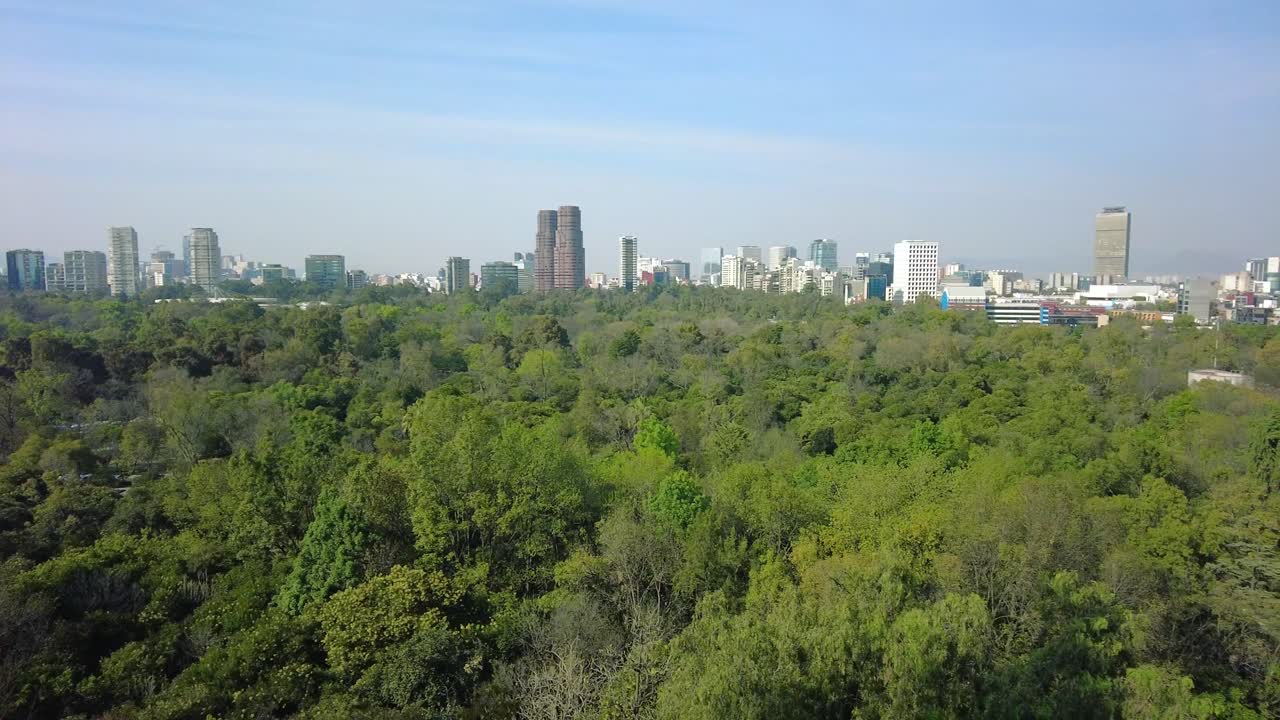 descubre la armonía perfecta entre naturaleza y civilización, un bosque frondoso y una majestuosa ciudad de cdmx en el horizonte