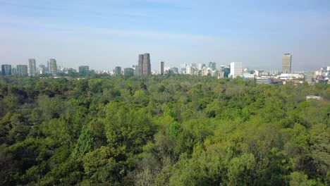 Discover-the-perfect-harmony-between-nature-and-civilization,-a-lush-forest-and-a-majestic-city-of-CDMX-on-the-horizon