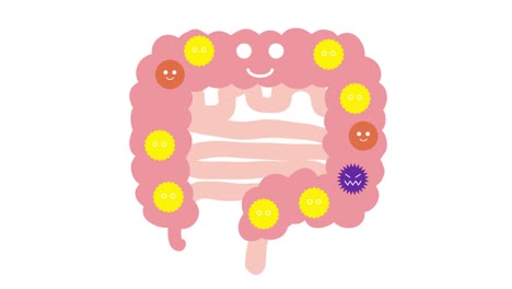 this is an animated video of balanced intestinal flora. loopable