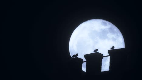 birds on a water tower under a super moon.