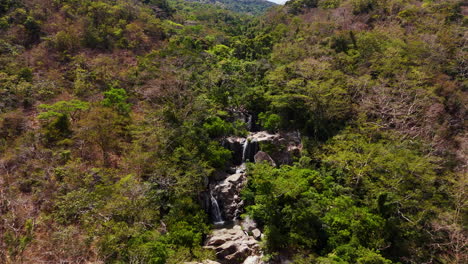 tropical forest waterfall