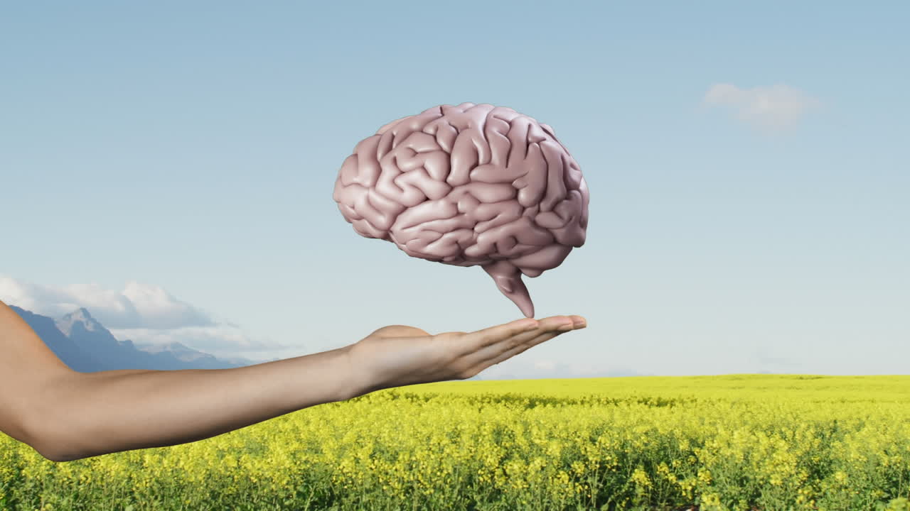 icono del cerebro humano girando sobre manos cubiertas contra el paisaje con hierba y cielo azul
