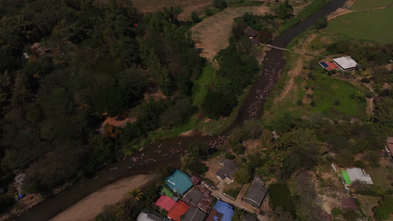 Enjoy tubing, drinks, and backpacker vibes on Pai River, Pai
