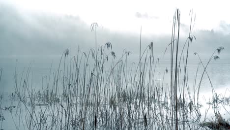 panning at german lake "barmsee