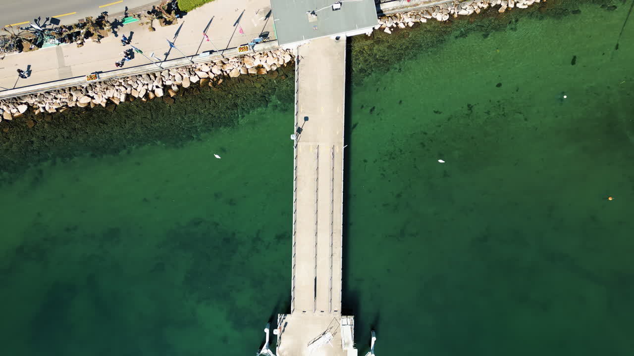 Aerial: Nyon wharf with green and blue lake of Geneva during the day in canton of Vaud, Switzerland, top down drone shot