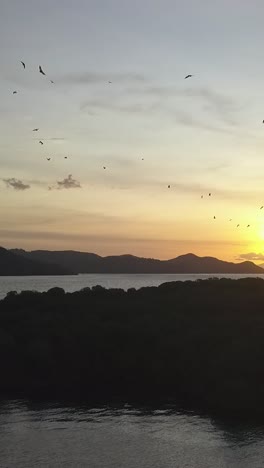 espectáculo nocturno de zorros voladores cerca de la isla de komodo, indonesia