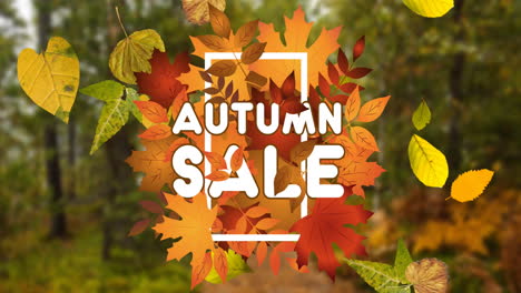 animation of autumn sale text in white letters over autumn leaves and forest