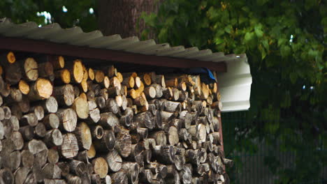 stack of firewood in a backyard on a rainy day in autumn