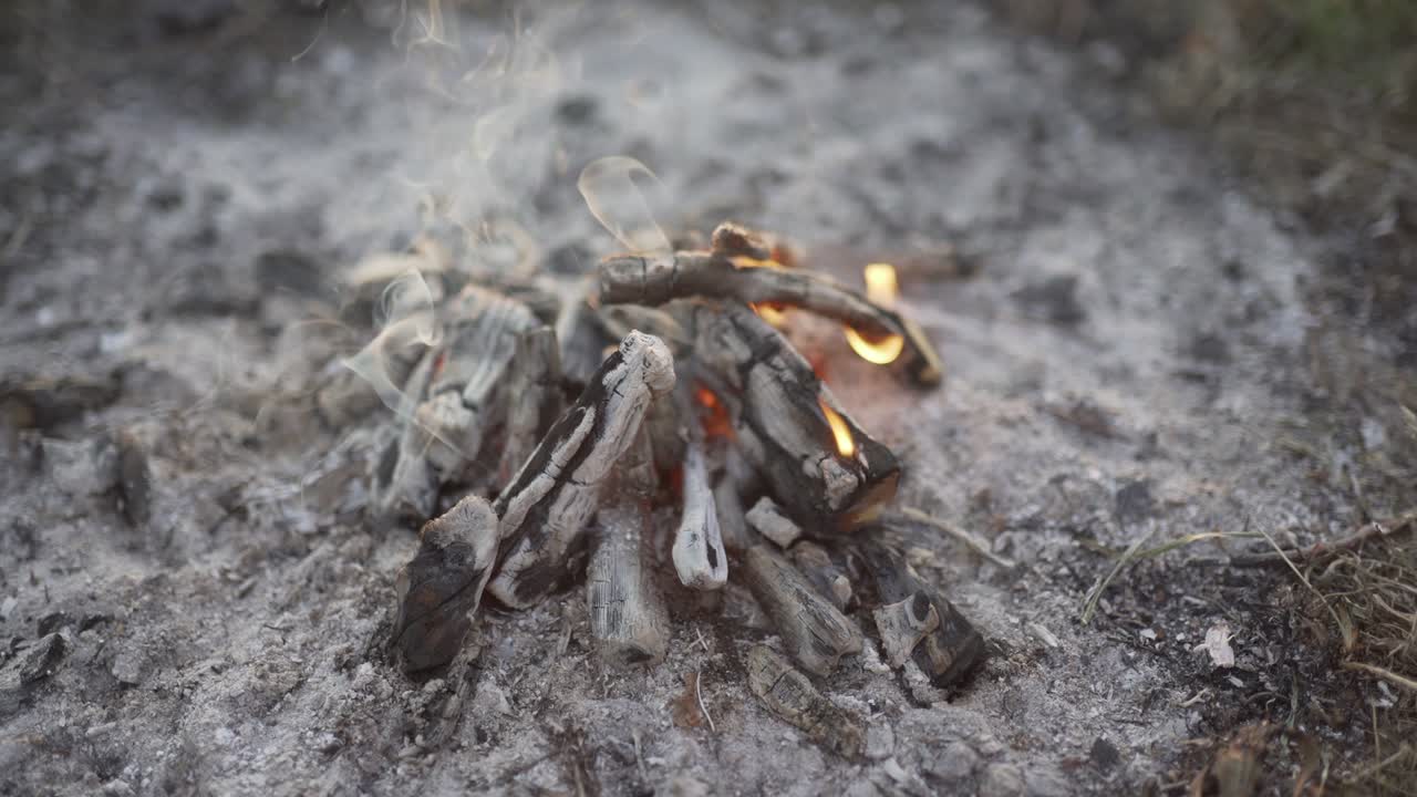 Roasting marshmallows over bonfire on the beach at sunset
