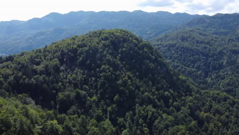 aerial flying towards a huge forested mount in a green alpine scenery