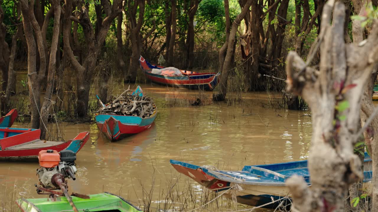 Wooden boats rest in muddy forest water near a Cambodian floating village