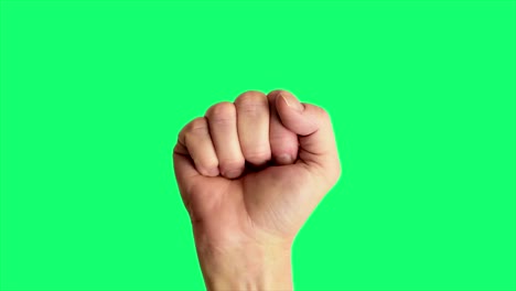 close up shot of a male hand holding up a classic power or fist sign, against a greenscreen background ideal for chroma keying