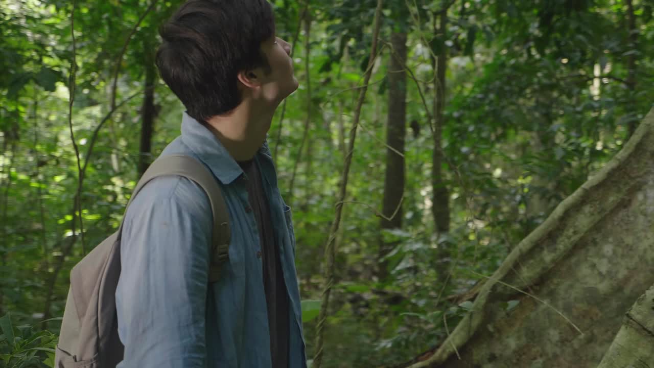 Man Exploring a Lush Rainforest