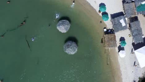 Rising-bird's-eye-aerial-drone-shot-of-the-beautiful-tropical-Restinga-beach-where-the-large-Curimataú-river-meets-the-sea-near-Barra-do-Cunhaú-in-Rio-Grande-do-Norte,-Brazil-on-a-summer-day