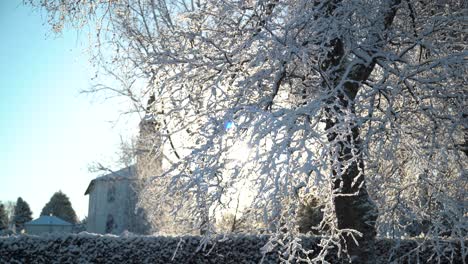 Nieve-Cayendo-De-Un-árbol-Nevado-Con-La-Iglesia-Al-Fondo-Y-El-Sol-Asomándose-Mientras-La-Cámara-Avanza-Lentamente-De-Derecha-A-Izquierda