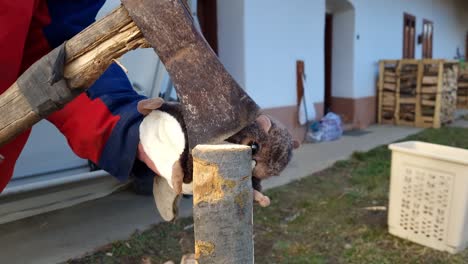chopping a piece of wood with a puppet of a flying squirrel