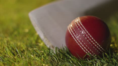 cricket still life with close up of ball and bat lying in grass 2