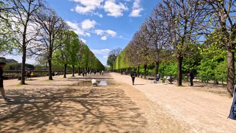 people walking in tuileries garden, paris, on a sunny day