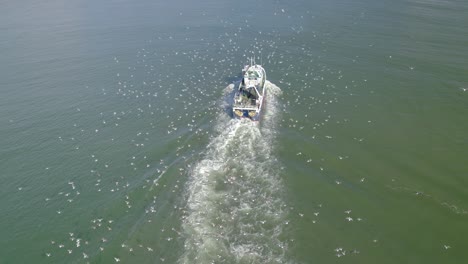 Aerial-shot-over-the-small-fishing-vessel-on-early-morning-with-a-lot-of-seagulls