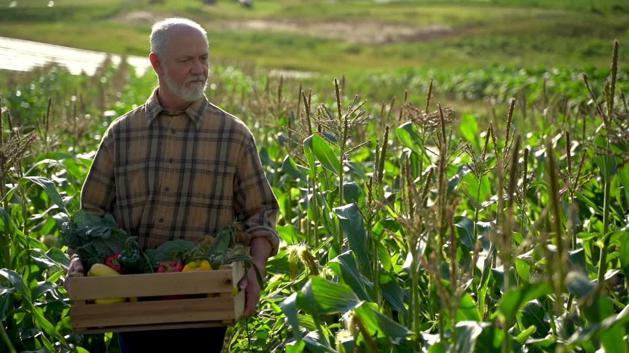el agricultor de cerca sostiene una caja de verduras orgánicas mira hacia otro lado de la cámara a la luz del sol agricultura granja campo cosecha jardín nutrición orgánico fresco retrato al aire libre cámara lenta