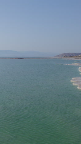 the popular round salt mushrooms that form near the shores of the dead sea - vertical shot