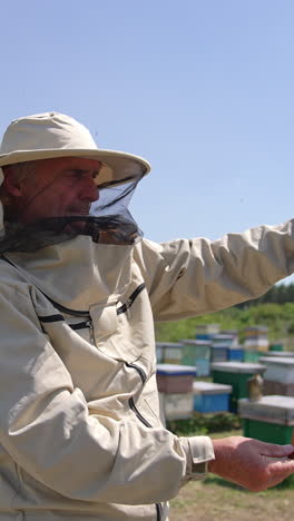 Honey frame coated with worker bees in the hands of old beekeeper. Apiarist standing in the middle of bee farm. Sunny day background. Vertical video