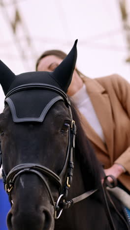 lifestyle ranch jockey training. horse riding close up view. vertical video