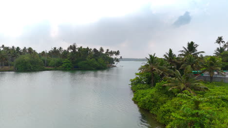 Morning-lakeshores-with-coconut-trees