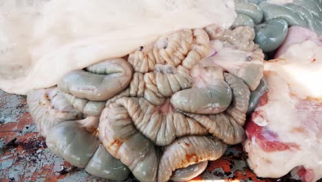 visceral organs of a sheep sacrificed for eid al-adha (sacrifice feast).