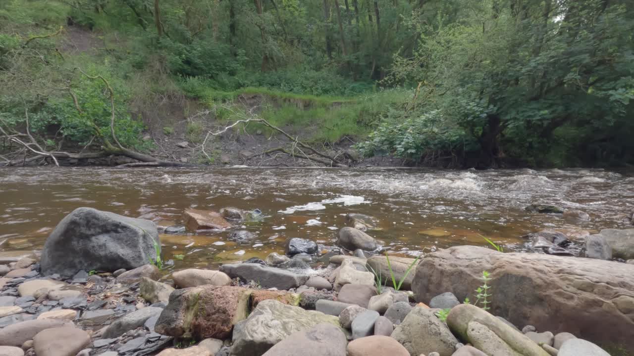 Inquadratura dal basso di un fiume impetuoso con alberi caduti e una frana.