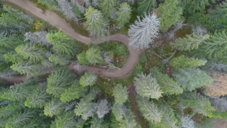 aerial drone footage of downhill mountainbiking in jarvso bike park in sweden