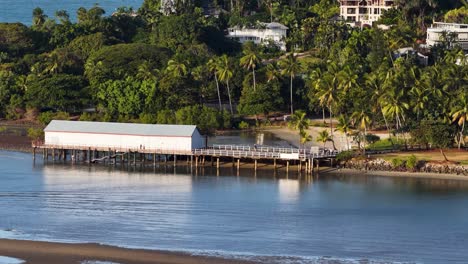 drone footage captures a serene pier surrounded by lush mangroves and calm waters in port douglas, queensland