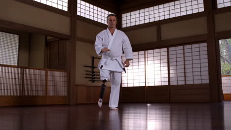 karate master practicing in dojo