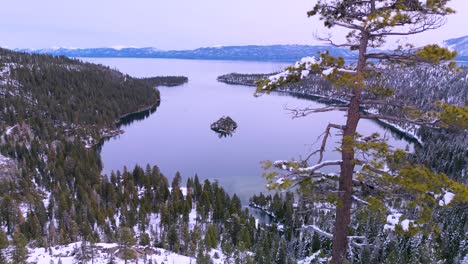 Aerial-view-of-Emerald-Bay-with-tree-in-foreground,-Lake-Tahoe,-California